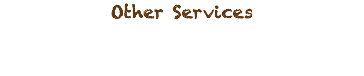 Other Services 